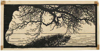 Visualizza l'immagine "FD S 156"