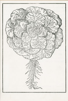 Visualizza l'immagine "LISTE.VIVANDE.3.102.a"