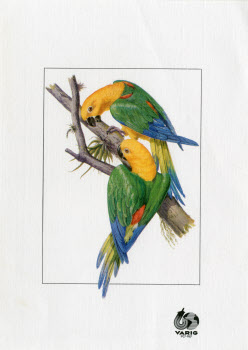 Visualizza l'immagine "LISTE.VIVANDE.3.134.a"