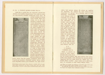 Visualizza l'immagine "LISTE.VIVANDE.4.85.e"