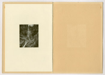 Visualizza l'immagine "LISTE.VIVANDE.4.85.f"