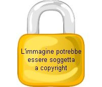 Immagine protetta da copyright